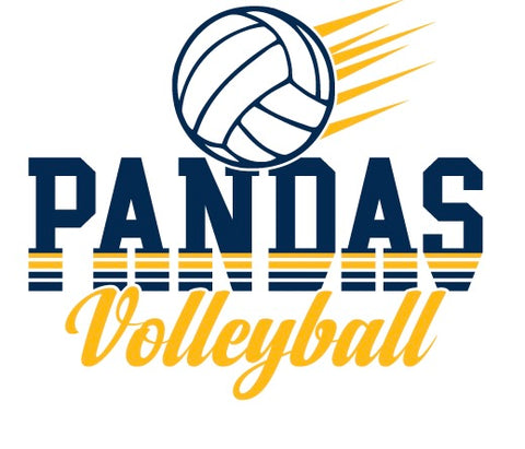 Volleyball T-Shirt